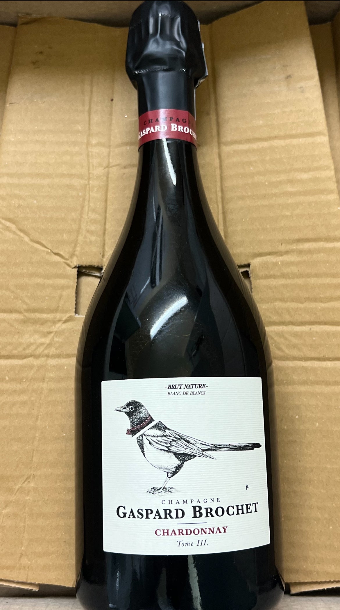 Gaspard Brochet Tome III