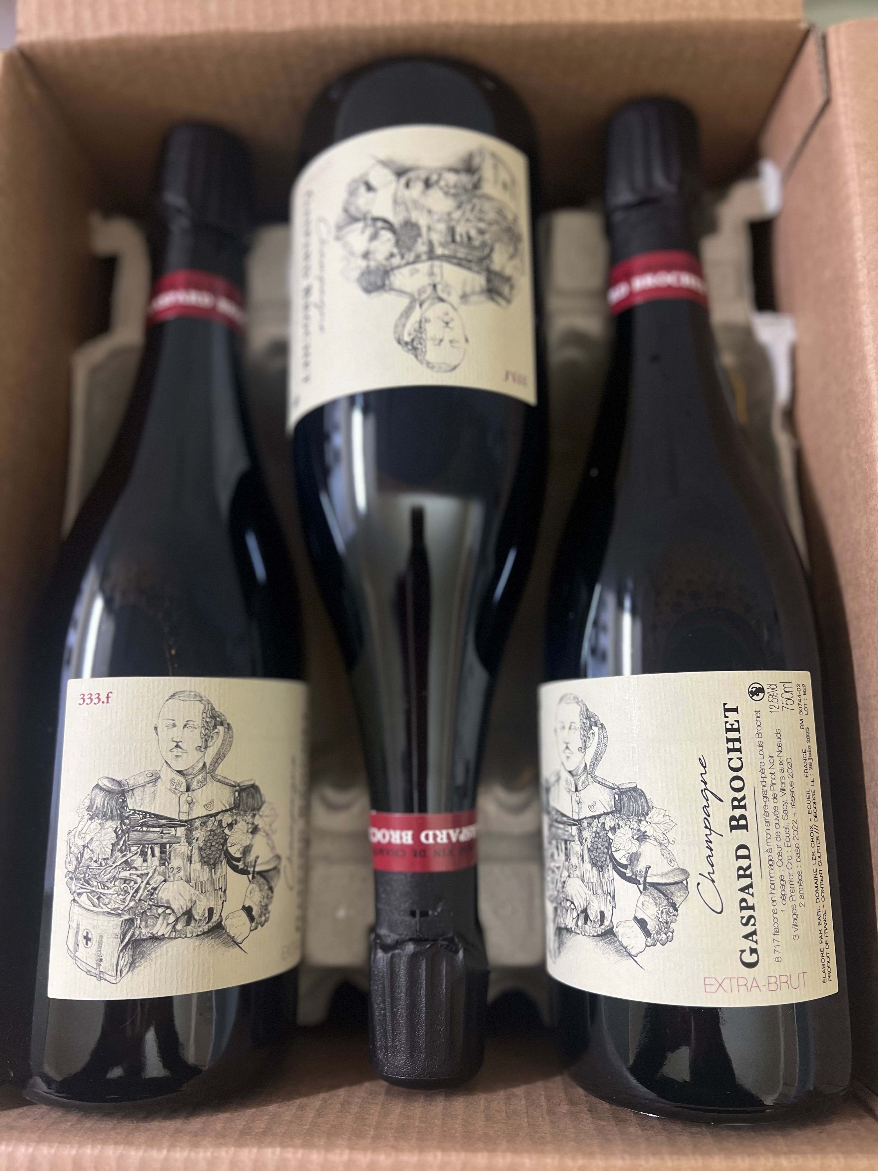 Gaspard Brochet 333F