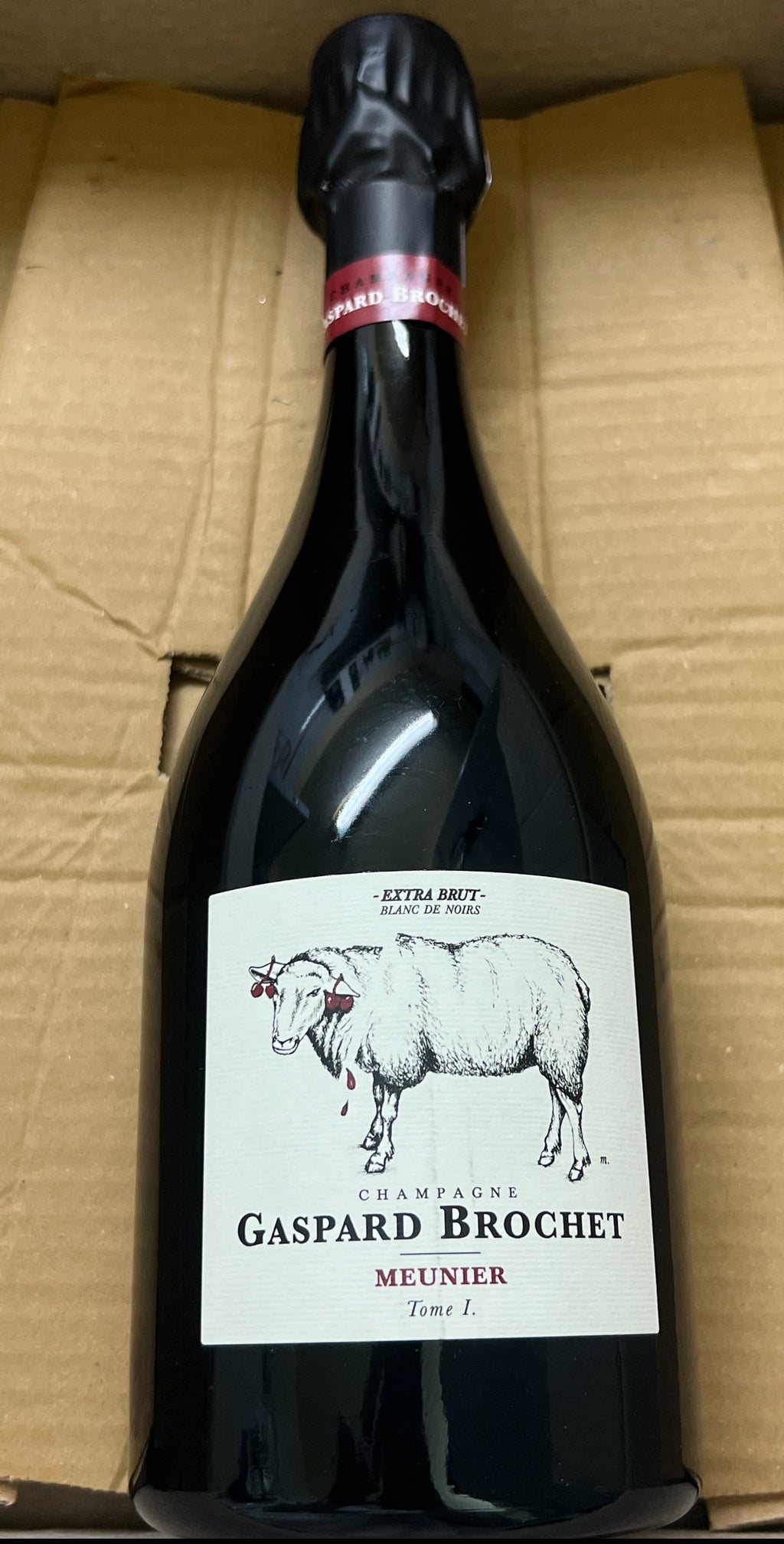 Gaspard Brochet “Tome I”